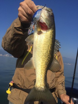 hideup 永野総一朗 ブログ写真 2016/11/05