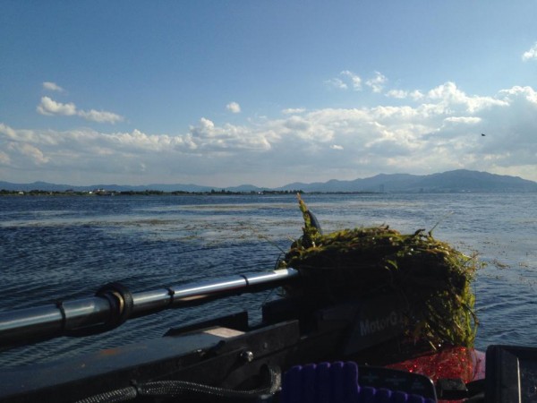 hideup 永野総一朗 ブログ写真 2014/09/17