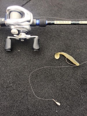 hideup 永野総一朗 ブログ写真 2016/05/11