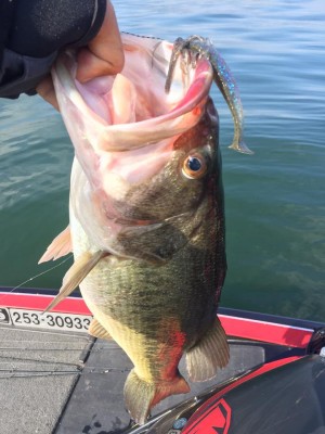 hideup 永野総一朗 ブログ写真 2016/12/04