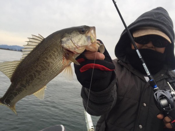 hideup 永野総一朗 ブログ写真 2015/11/01