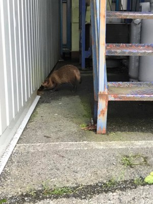 hideup 永野総一朗 ブログ写真 2017/07/11