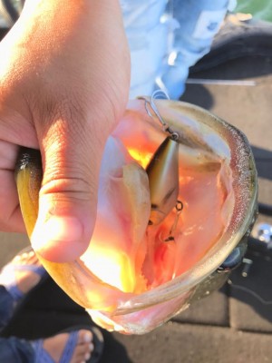 hideup 永野総一朗 ブログ写真 2017/10/09