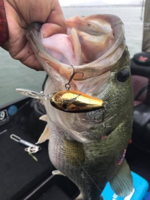 hideup 永野総一朗 ブログ写真 2017/06/07