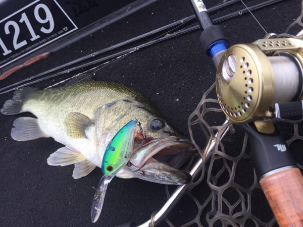 hideup 永野総一朗 ブログ写真 2016/09/25