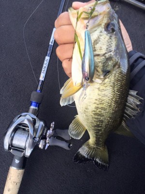 hideup 永野総一朗 ブログ写真 2016/05/04