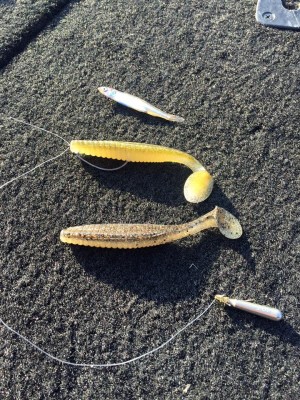 hideup 永野総一朗 ブログ写真 2016/04/11