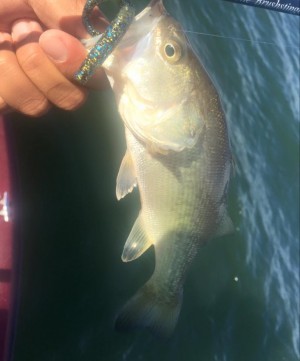 hideup 永野総一朗 ブログ写真 2015/12/09