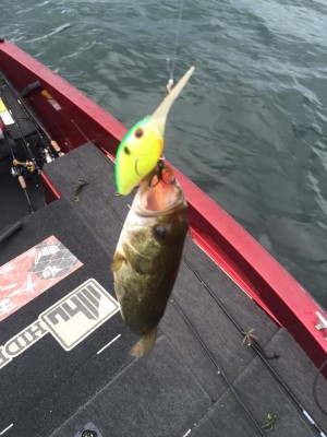 hideup 永野総一朗 ブログ写真 2015/08/17