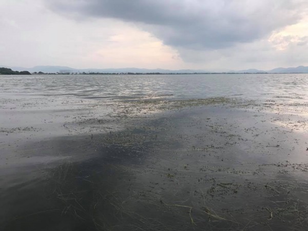 hideup 永野総一朗 ブログ写真 2017/07/12