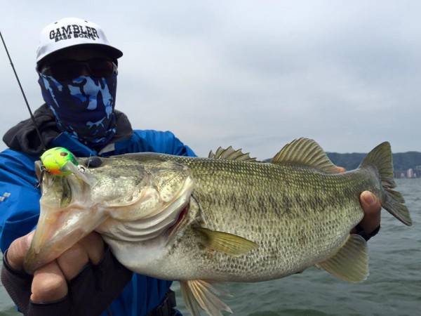 hideup 永野総一朗 ブログ写真 2016/05/03