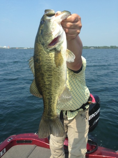 hideup 豌ｸ驥守ｷ丈ｸ譛� 繝悶Ο繧ｰ蜀咏悄 2014/07/17