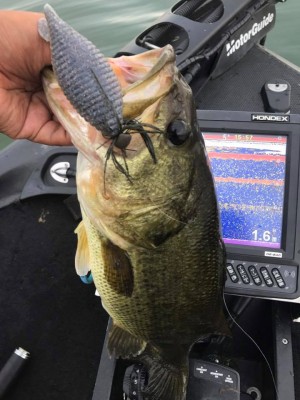 hideup 永野総一朗 ブログ写真 2017/07/12