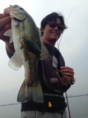 hideup 永野総一朗 ブログ写真 2015/06/16