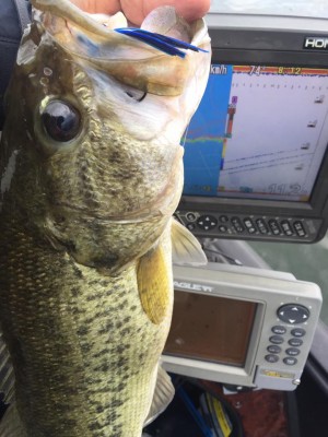 hideup 永野総一朗 ブログ写真 2016/10/13