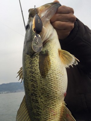 hideup 豌ｸ驥守ｷ丈ｸ譛� 繝悶Ο繧ｰ蜀咏悄 2016/04/23