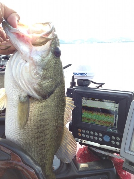 hideup 豌ｸ驥守ｷ丈ｸ譛 繝悶Ο繧ｰ蜀咏悄 2014/06/26