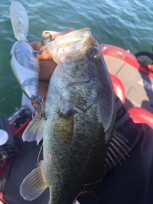 hideup 永野総一朗 ブログ写真 2015/10/16