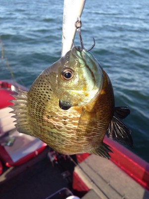 hideup 永野総一朗 ブログ写真 2015/05/26