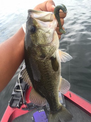 hideup 永野総一朗 ブログ写真 2015/08/17