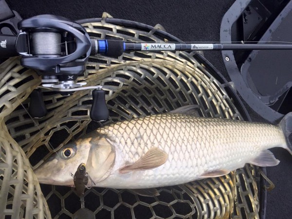 hideup 永野総一朗 ブログ写真 2016/01/05