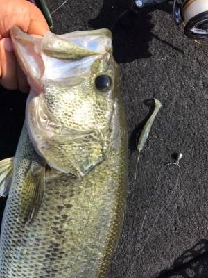 hideup 永野総一朗 ブログ写真 2017/06/05