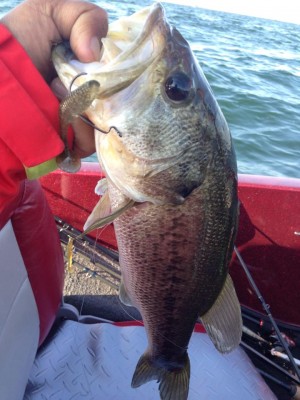 hideup 永野総一朗 ブログ写真 2015/05/07