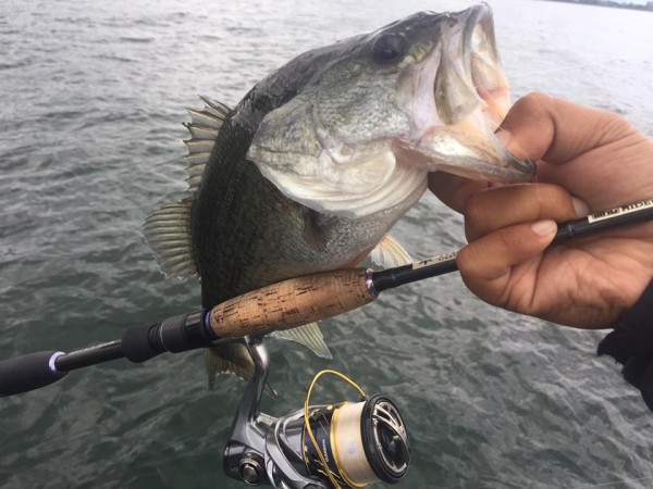 hideup 永野総一朗 ブログ写真 2016/10/06