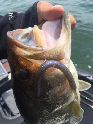 hideup 永野総一朗 ブログ写真 2017/05/04