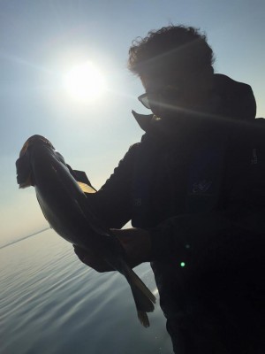 hideup 永野総一朗 ブログ写真 2016/03/03