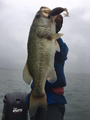 hideup 永野総一朗 ブログ写真 2017/06/25