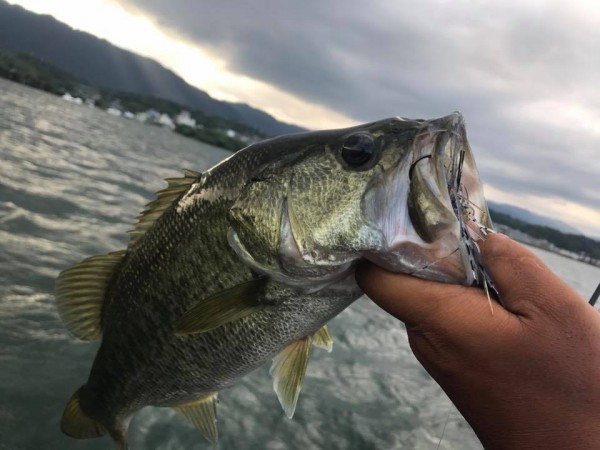 hideup 永野総一朗 ブログ写真 2017/08/02