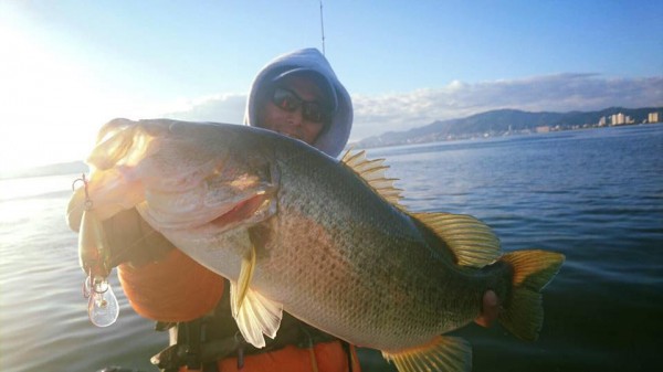 hideup 豌ｸ驥守ｷ丈ｸ譛� 繝悶Ο繧ｰ蜀咏悄 2016/11/04