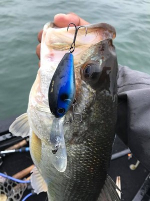 hideup 永野総一朗 ブログ写真 2017/11/08