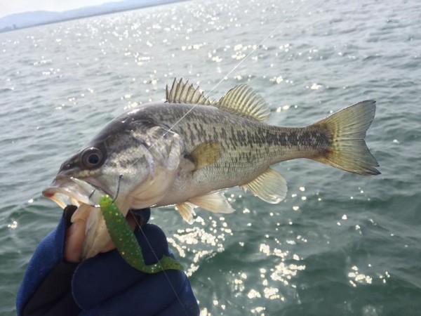 hideup 永野総一朗 ブログ写真 2017/03/19