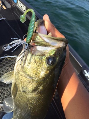 hideup 永野総一朗 ブログ写真 2016/09/06