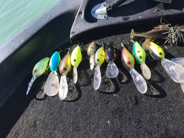 hideup 豌ｸ驥守ｷ丈ｸ譛� 繝悶Ο繧ｰ蜀咏悄 2017/11/01