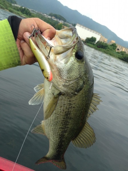 hideup 永野総一朗 ブログ写真 2014/06/19