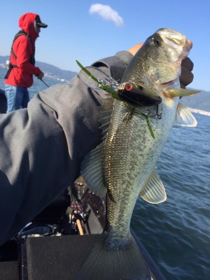 hideup 永野総一朗 ブログ写真 2016/11/12