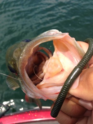 hideup 永野総一朗 ブログ写真 2013/07/26