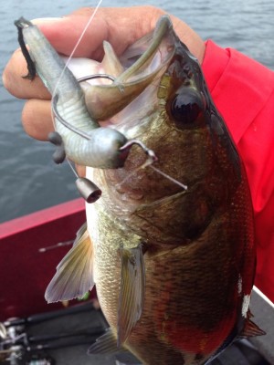 hideup 永野総一朗 ブログ写真 2014/09/25