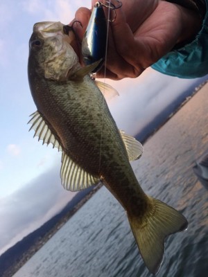 hideup 永野総一朗 ブログ写真 2016/12/11