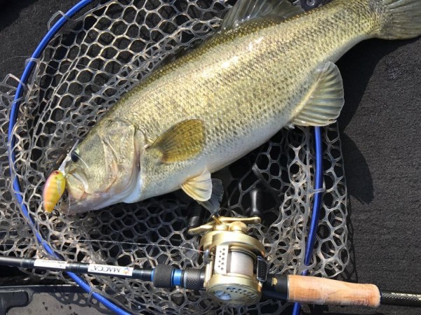 hideup 永野総一朗 ブログ写真 2017/11/07