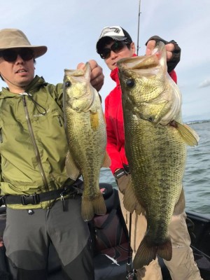 hideup 永野総一朗 ブログ写真 2017/06/12