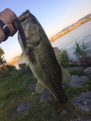 hideup 永野総一朗 ブログ写真 2017/05/23