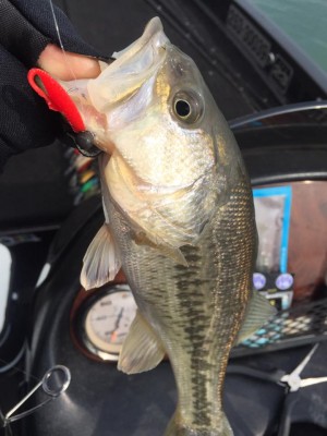 hideup 永野総一朗 ブログ写真 2017/01/21