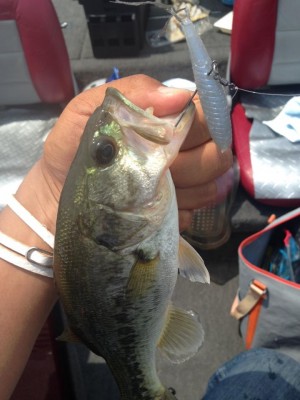 hideup 永野総一朗 ブログ写真 2015/06/17