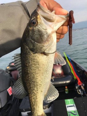 hideup 永野総一朗 ブログ写真 2017/11/27