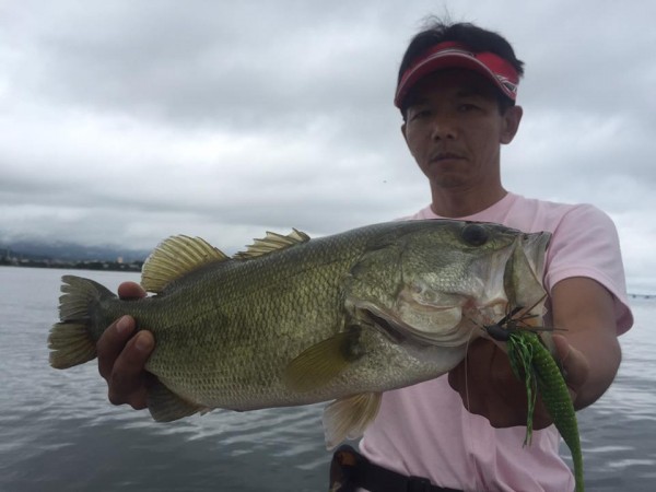 hideup 豌ｸ驥守ｷ丈ｸ譛� 繝悶Ο繧ｰ蜀咏悄 2015/08/17