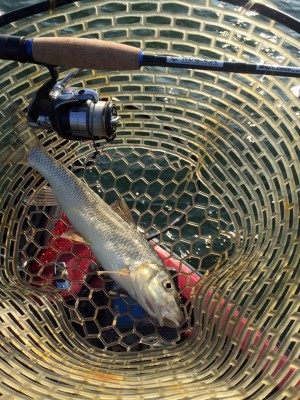 hideup 永野総一朗 ブログ写真 2015/12/26